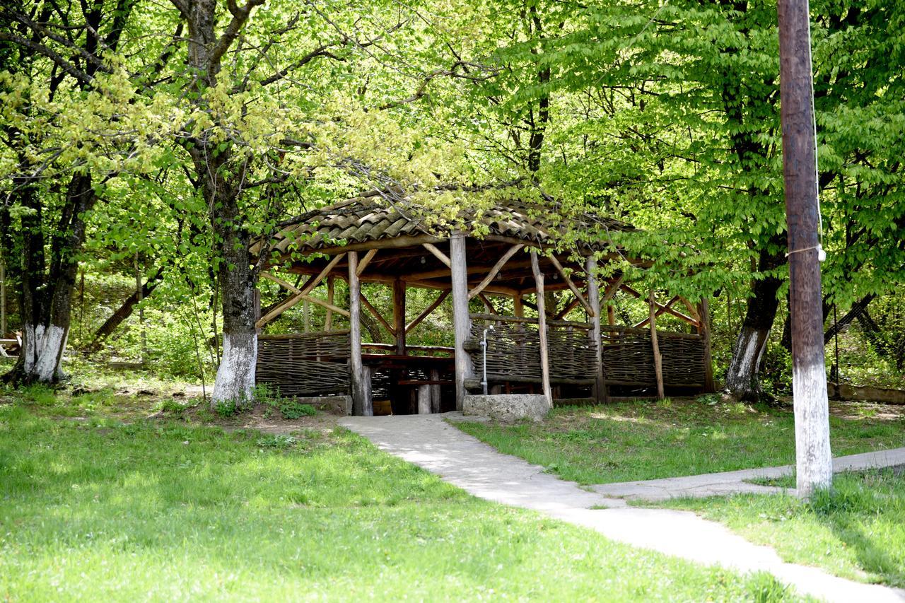 Bed and Breakfast Nikala Telawi Zewnętrze zdjęcie