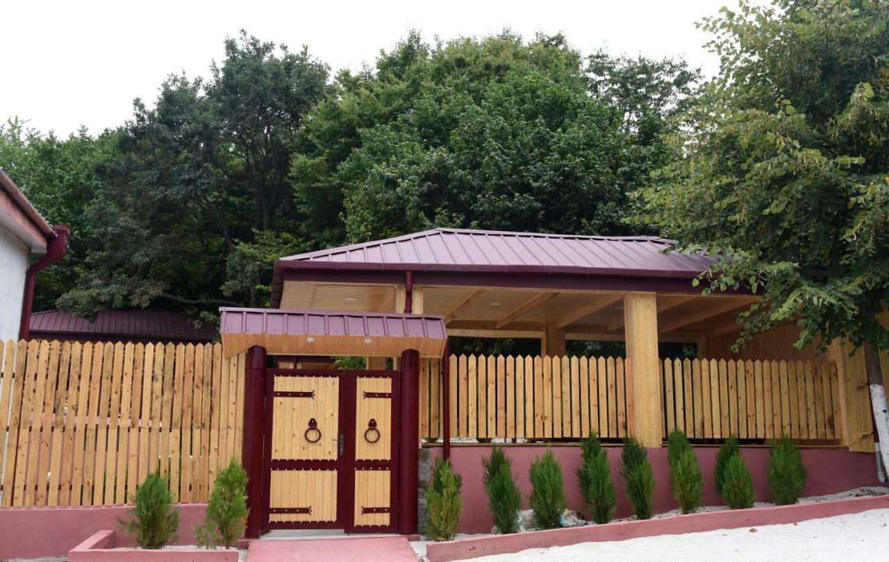 Bed and Breakfast Nikala Telawi Zewnętrze zdjęcie